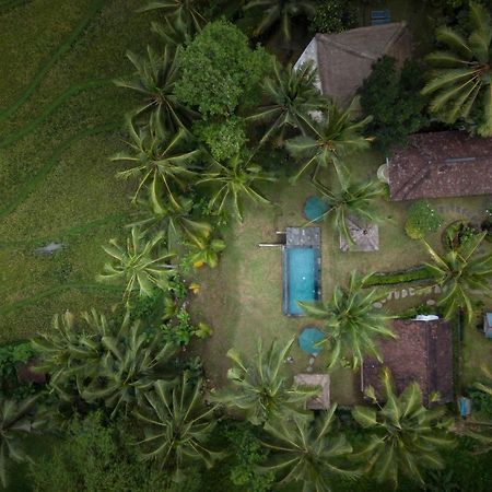 Green Sari Private Villa Ubud Exteriér fotografie