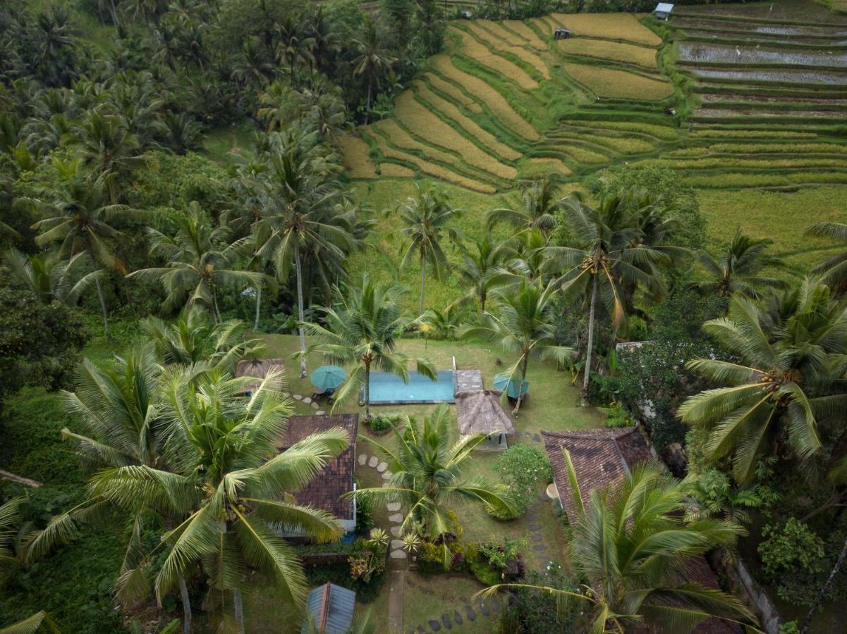 Green Sari Private Villa Ubud Exteriér fotografie