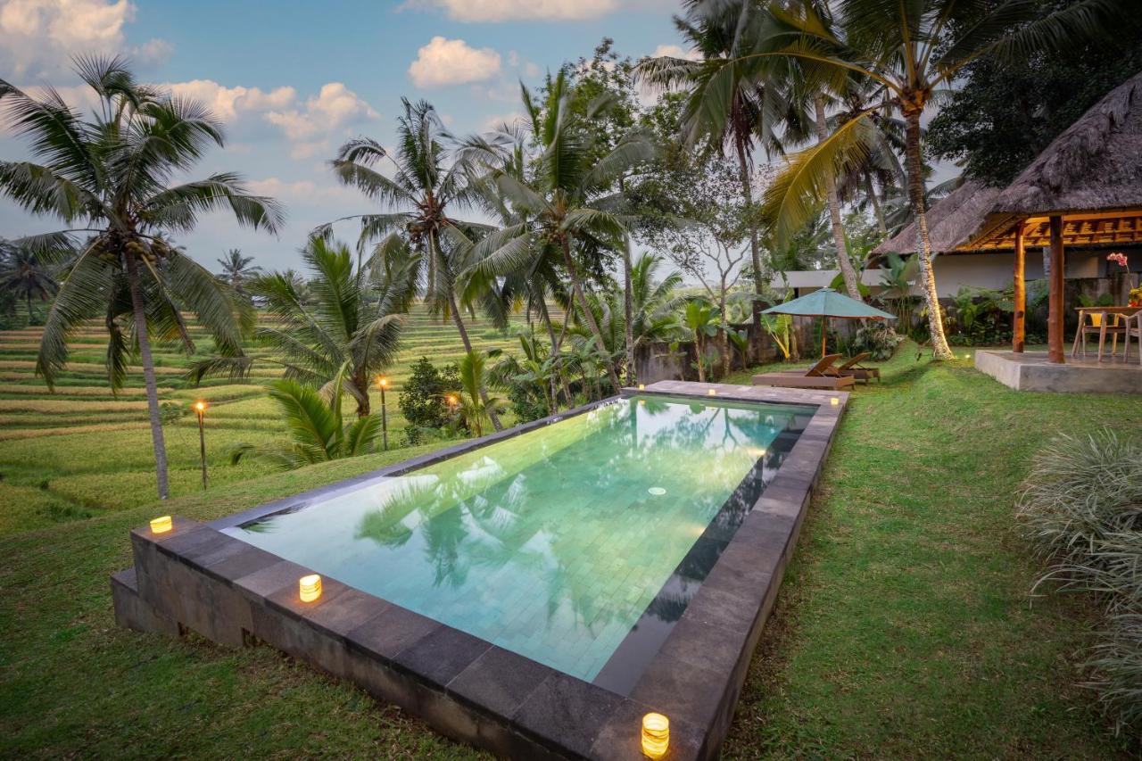 Green Sari Private Villa Ubud Exteriér fotografie